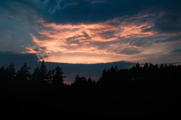 Fototapeta premium Wald im Abendrot