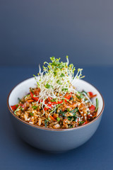 Plate of wok vegetable rice with microgreen on the dark background