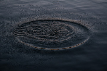 Drops of water 