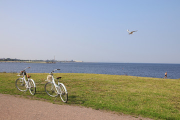 Malmö, Blick zur Öresund Brücke, Jogger, Fahrräder, Möwe 