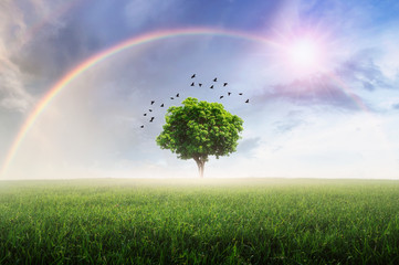 Obraz na płótnie Canvas Rainbow with meadow.