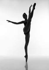 Elegant ballerina in twine