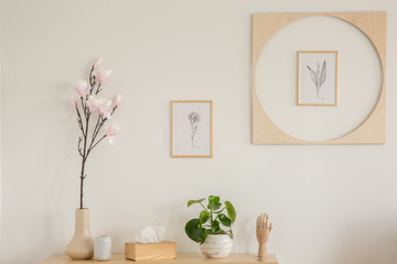 Plants on wooden cabinet in white living room interior with posters on the wall. Real photo
