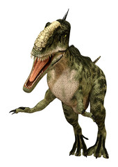 Fototapeta premium 3D Rendering Dinosaur Monolophosaurus on White
