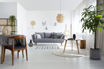 Table on rug next to plant and wooden chair in white flat interior with grey couch and lamp. Real photo