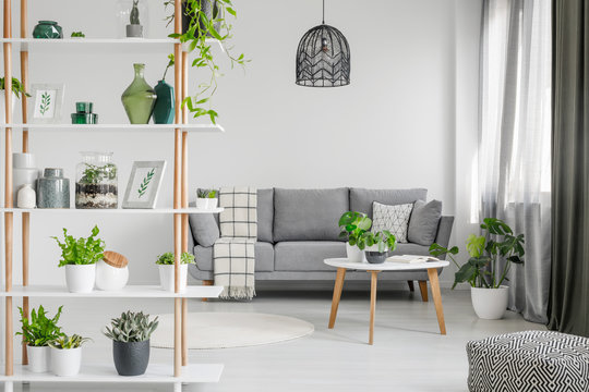 Real photo of a wooden rack with plants and decorations in scandi living room interior with a black lamp and gray couch