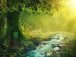 Obraz premium Głęboki magiczny las