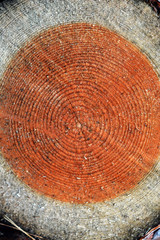 Naklejka premium cut down wood texture