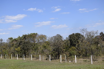 Cerca em propriedade rural