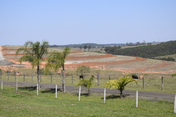 	 Estrada atrav&eacute;s de campo verde, inclina&ccedil;&atilde;o no terreno, palmeira