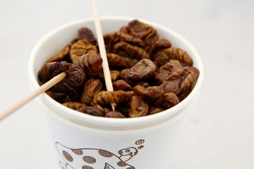 Portion of larvae of silkworm in a glass. Asian delicacy. Korean delicacy