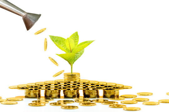 Watering can of coin pouring drop to a stack gold coin and seed plant growing value with savings put white background, Business investment or loan as working capital management for asset concept.