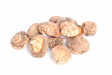 Dry Lingzhi on white background.