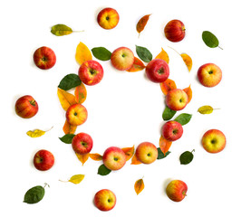 Frame of ripe yellow-red juicy apples and fall apple tree leaves on a white background with space for text. Top view, flat lay