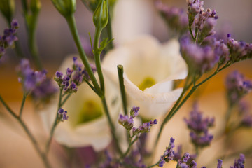 Wedding decorations at a wedding