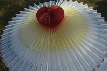 Obraz premium Flor magica