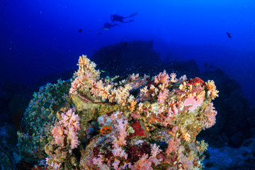 Fototapeta na wymiar A beautiful, colorful tropical coral reef system in Asia