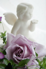 ブルームーンと白い天使