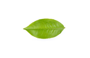 Obraz premium tea leaves on white background