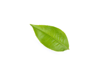 tea leaves on white background
