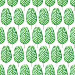 Seamless pattern with watercolor green plants isolated on white background.