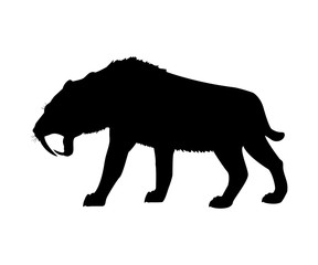 Saber toothed tiger silhouette extinct mammalian animal
