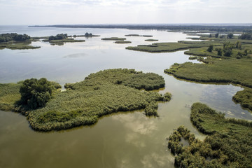 Swampy lake, aerial photography, on a summer day, background image