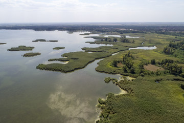 Swampy lake, aerial photography, on a summer day, background image