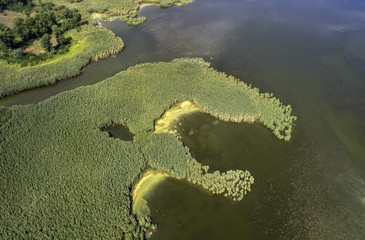 Swampy lake, aerial photography, on a summer day, background image