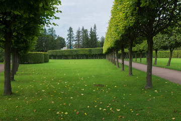 Catherine park.Tsarskoye Selo is a former Russian residence of the imperial family and visiting nobility 24 km south from the center of St. Petersburg