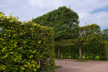 Catherine park.Tsarskoye Selo is a former Russian residence of the imperial family and visiting...