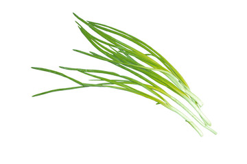 green onion isolated on the white background
