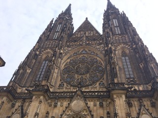 Naklejka premium Assorted