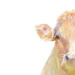 Vector illustration of a watercolor половина морды cow. Cow isolated on white background. Frontal head of a cow. - 218973829