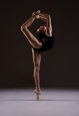 Fototapeta na wymiar Ballerina in leotard. Photo in color.