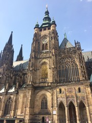 Fototapeta premium Assorted