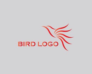 bird logo concept