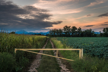 sunset isolated road in the middle of field in monza brianza to nowhere with alps view