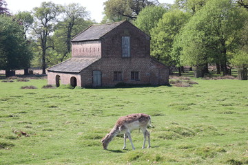 Old barn