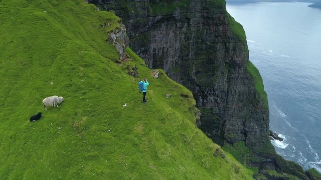 AERIAL: Flying around a female hiker taking photos of sea off the edge of a cliff. Professional photographer hiking in the grassy mountains of Faroe Islands taking pictures of the scenic countryside.