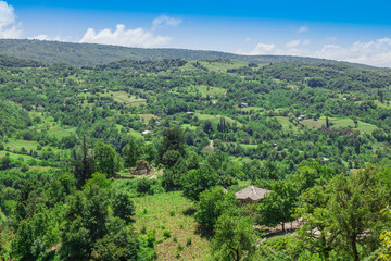 Fototapeta na wymiar Amazing view on georgian landscape with green grassy hills, meadow, mountains and village on summer sunny day . Georgian nature in mountain village