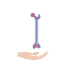 Vector illustration of bone marrow