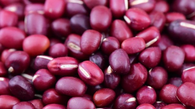 adzuki beans rotation