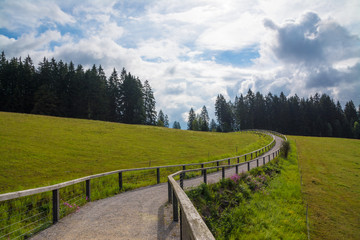 Fototapeta na wymiar Wanderweg im bayerischen Wald