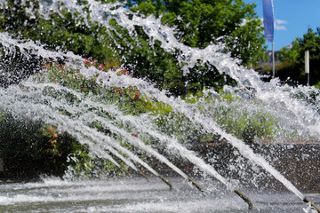 Fountain in the park, water jets in a row