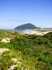 Restinga forest and Santinho beach in the background - Florianopolis, Brazil