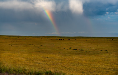 A Rainbow after a Rainstorm on the Eastern Plains of Colorado