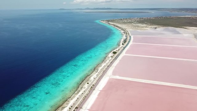 rose caribbean salt lake Bonaire island aerial drone top view 4K UHD video 
