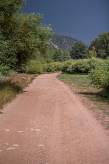 Dirt Road through Woods