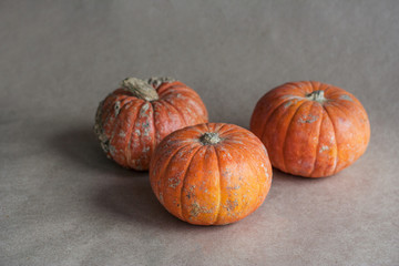 Orange pumpkins. Autumn harvest .